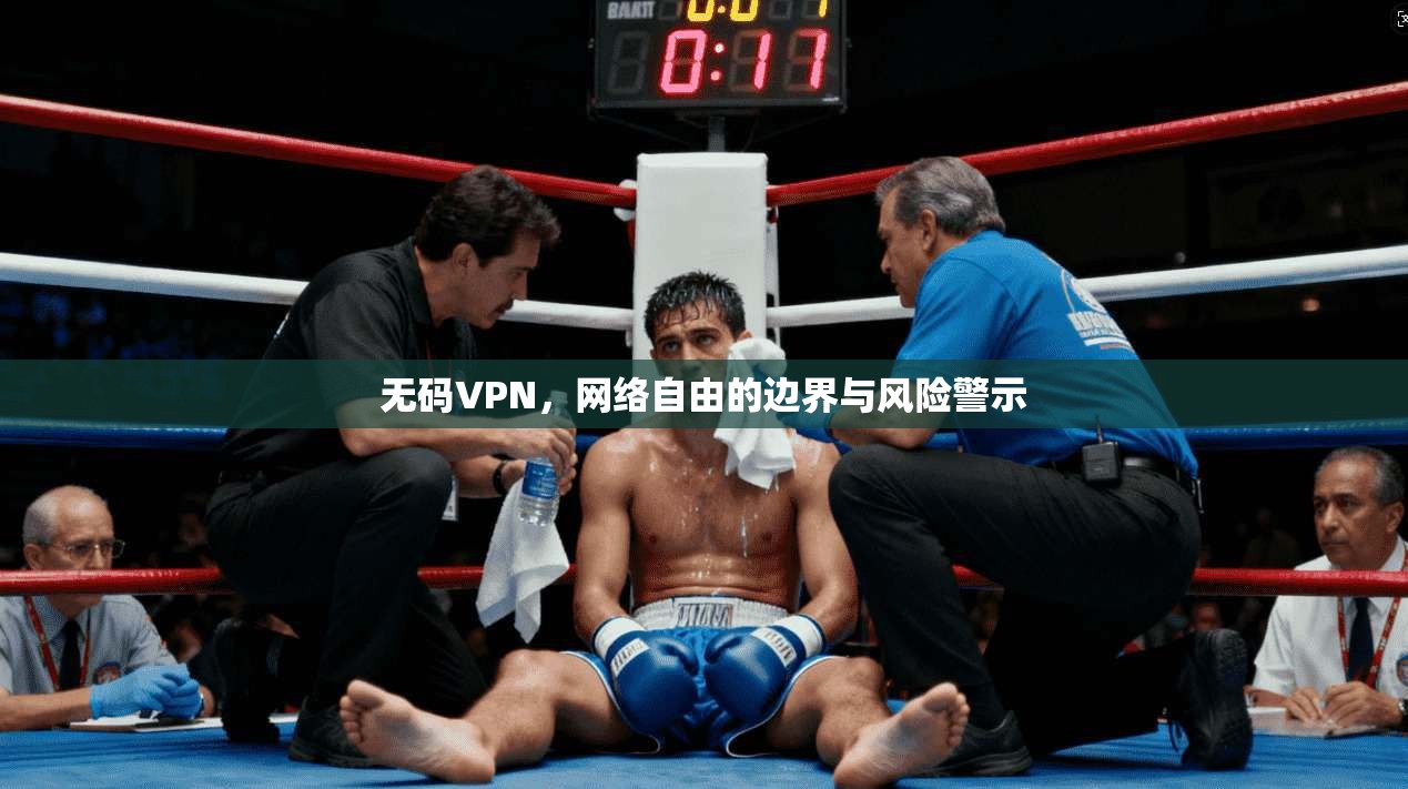 无码VPN，网络自由的边界与风险警示