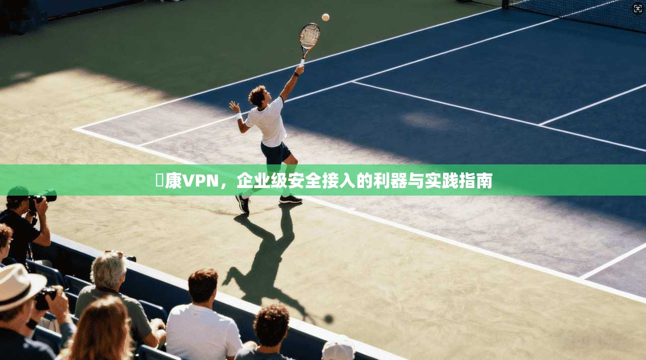聯康VPN，企业级安全接入的利器与实践指南