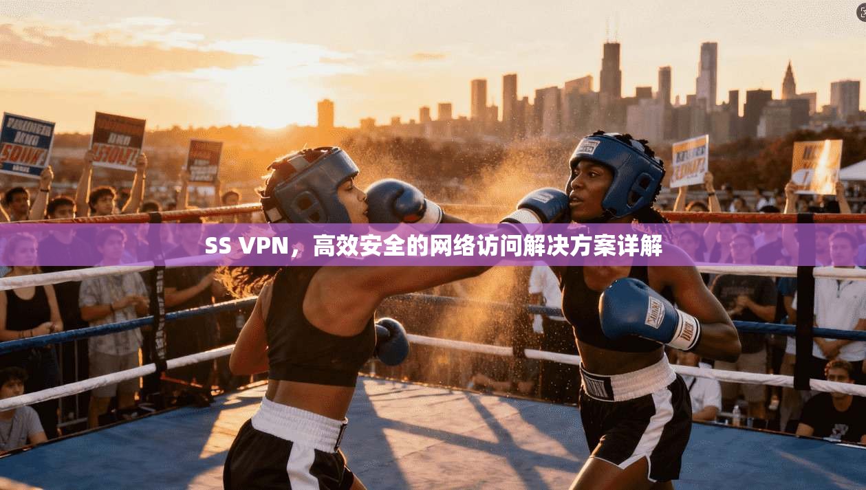 SS VPN，高效安全的网络访问解决方案详解