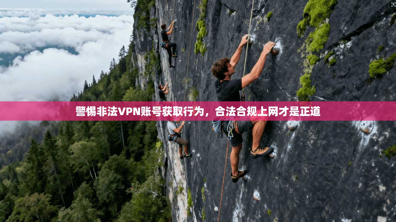 警惕非法VPN账号获取行为，合法合规上网才是正道