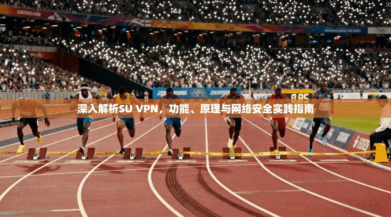 深入解析SU VPN,功能、原理与网络安全实践指南
