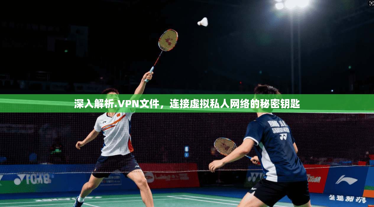 深入解析.VPN文件，连接虚拟私人网络的秘密钥匙