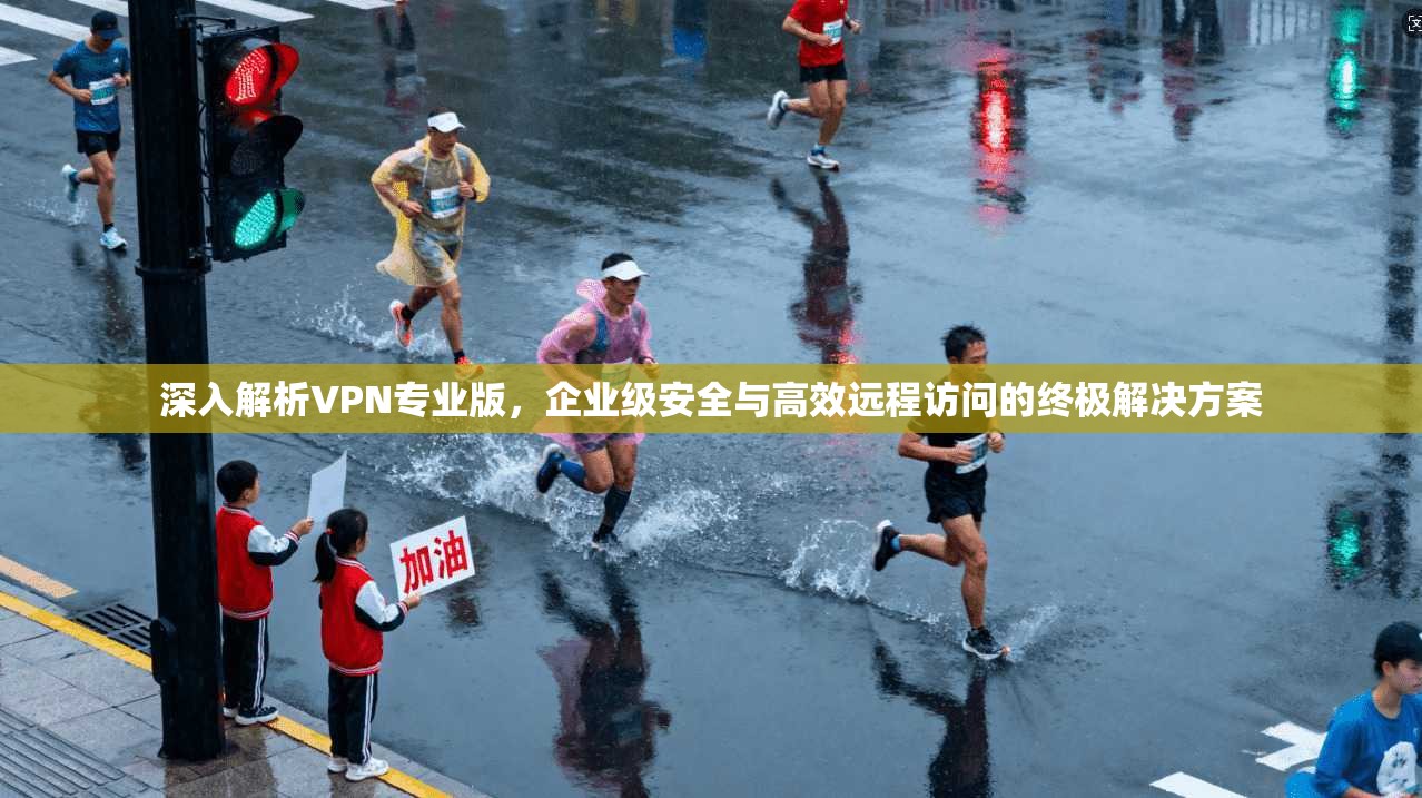 深入解析VPN专业版,企业级安全与高效远程访问的终极解决方案