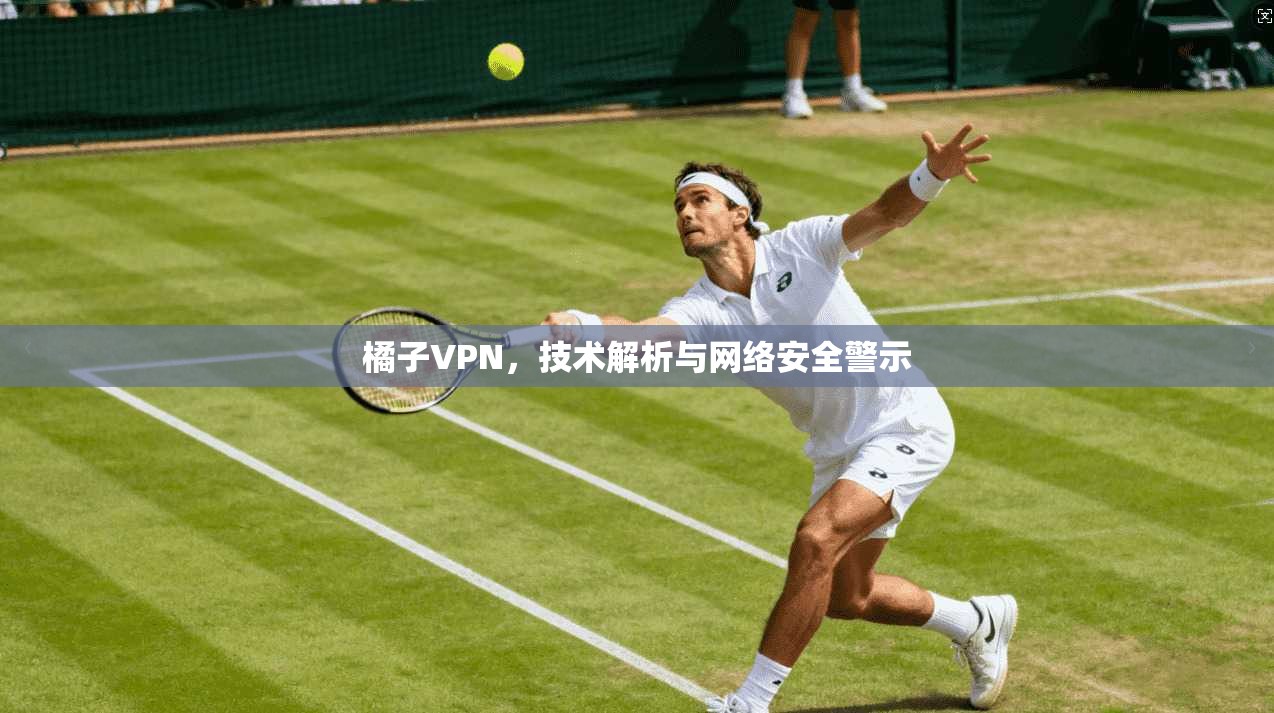 橘子VPN，技术解析与网络安全警示