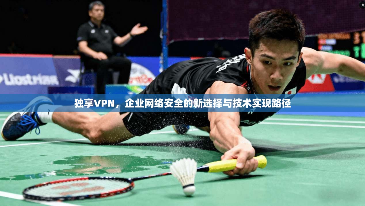 独享VPN，企业网络安全的新选择与技术实现路径