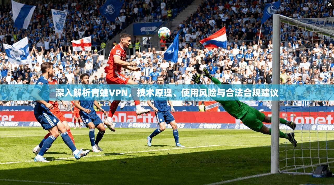 深入解析青蛙VPN,技术原理、使用风险与合法合规建议 深入解析青蛙VPN,技术原理、使用风险与合法合规建议
