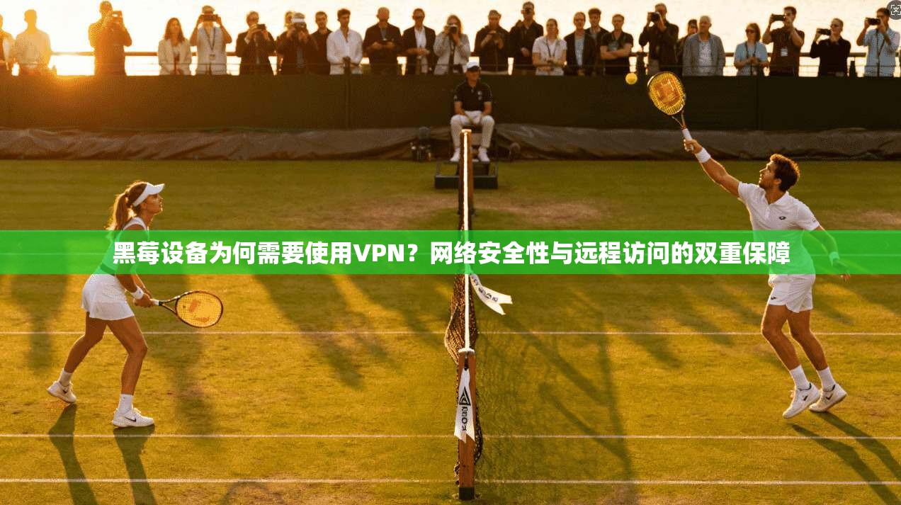黑莓设备为何需要使用VPN?网络安全性与远程访问的双重保障 黑莓设备为何需要使用VPN?网络安全性与远程访问的双重保障