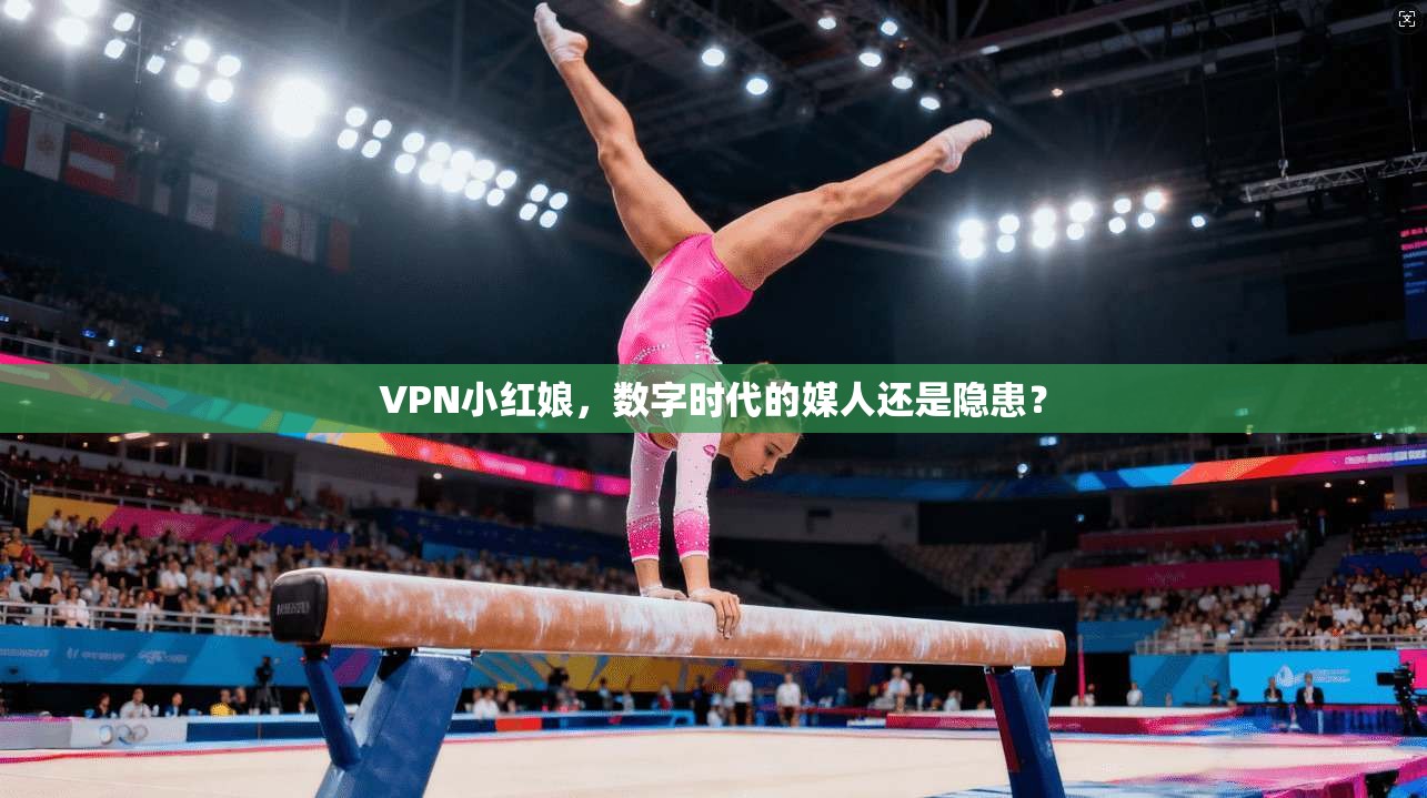VPN小红娘，数字时代的媒人还是隐患？