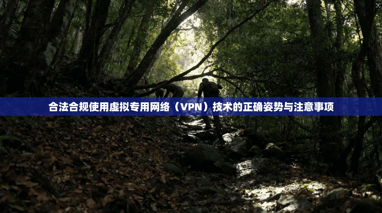 合法合规使用虚拟专用网络(VPN)技术的正确姿势与注意事项