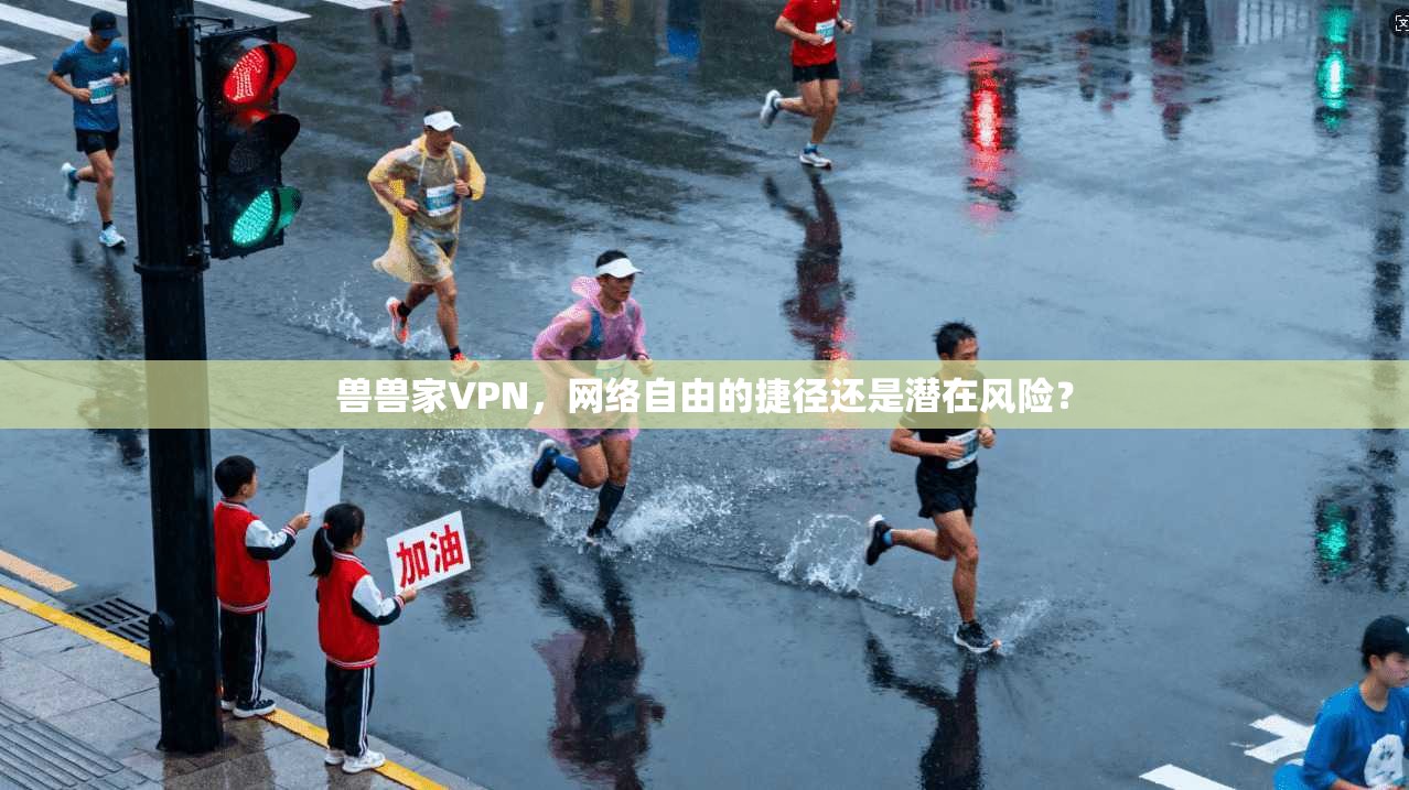 兽兽家VPN，网络自由的捷径还是潜在风险？