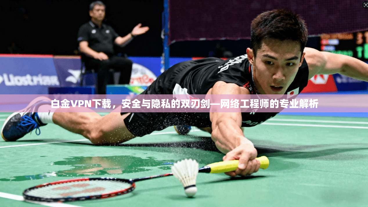 白金VPN下载,安全与隐私的双刃剑—网络工程师的专业解析