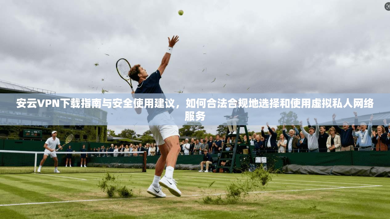 安云VPN下载指南与安全使用建议，如何合法合规地选择和使用虚拟私人网络服务