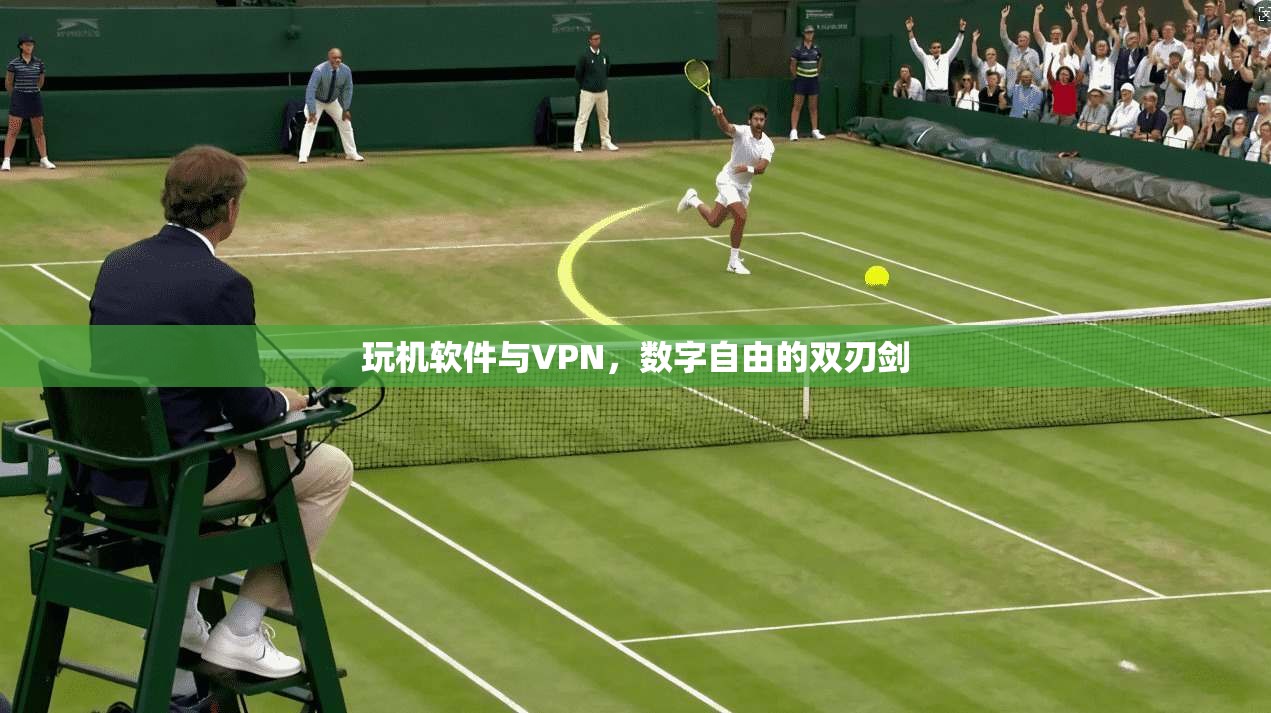 玩机软件与VPN,数字自由的双刃剑