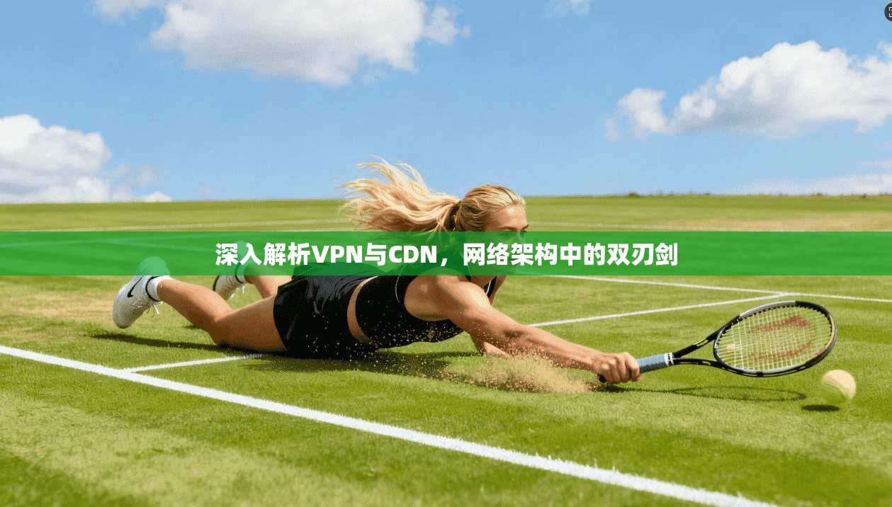 深入解析VPN与CDN,网络架构中的双刃剑