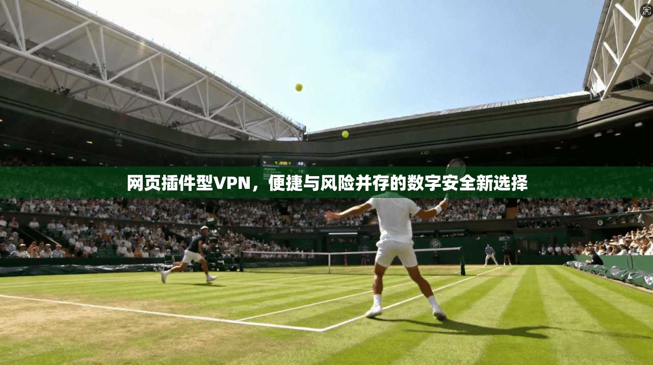 网页插件型VPN，便捷与风险并存的数字安全新选择