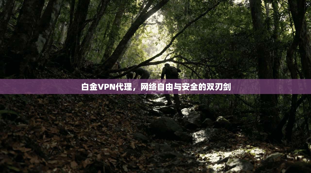 白金VPN代理，网络自由与安全的双刃剑
