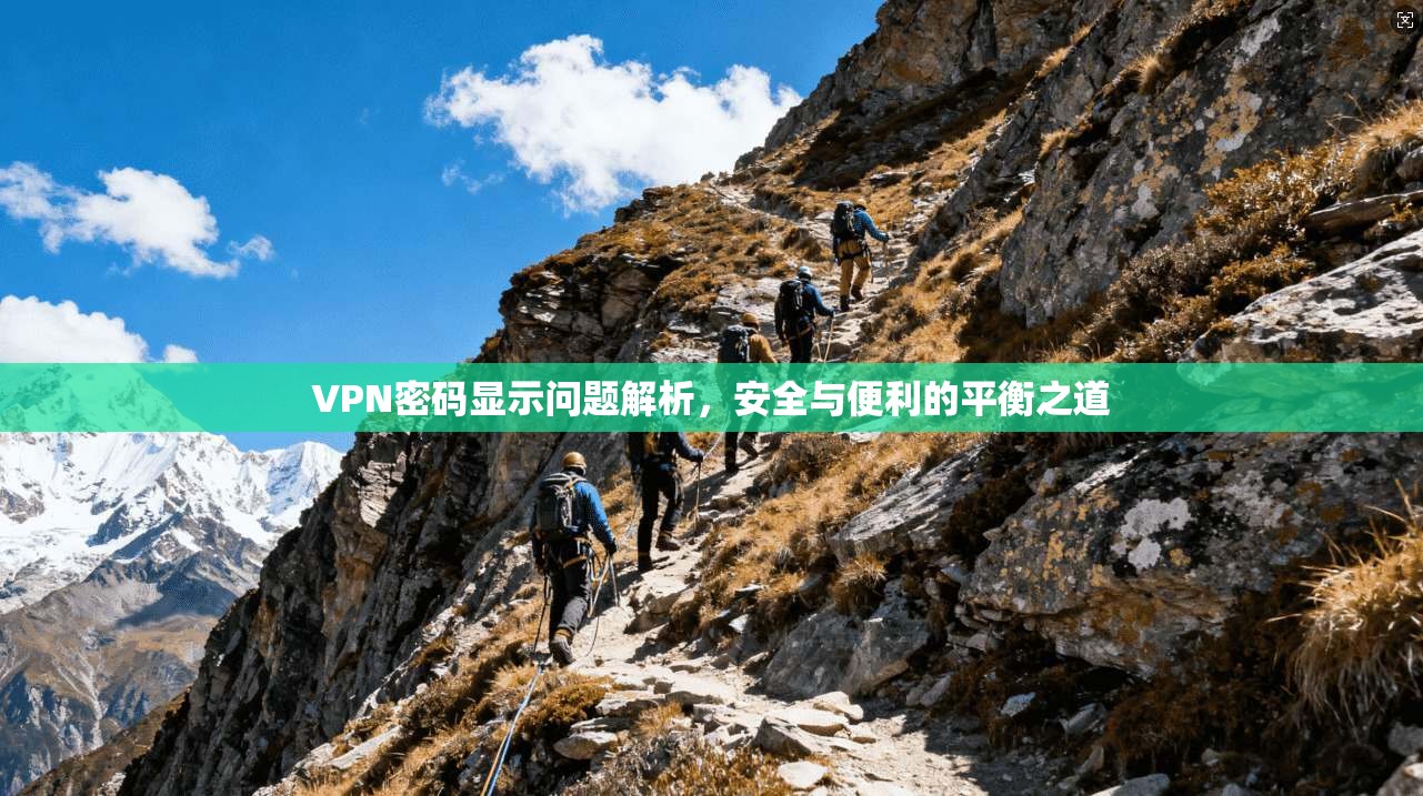 VPN密码显示问题解析,安全与便利的平衡之道