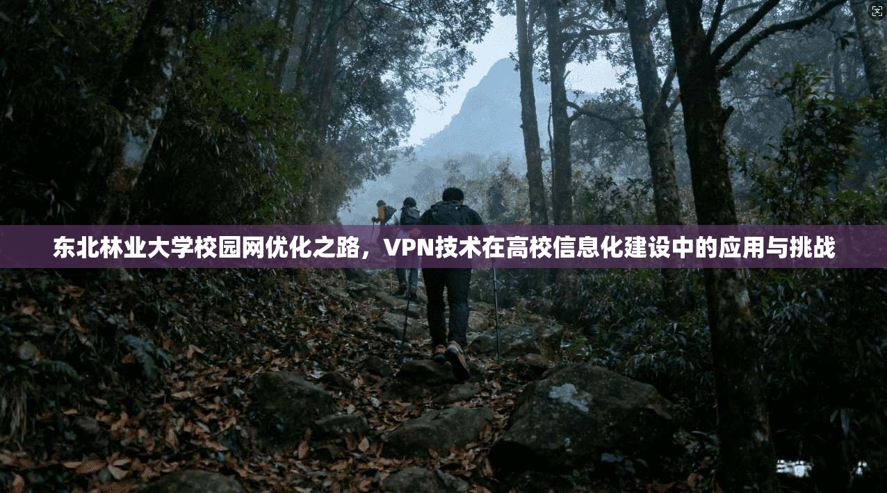 东北林业大学校园网优化之路，VPN技术在高校信息化建设中的应用与挑战