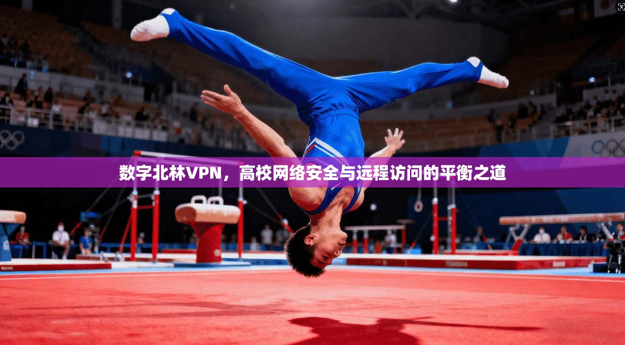 数字北林VPN，高校网络安全与远程访问的平衡之道
