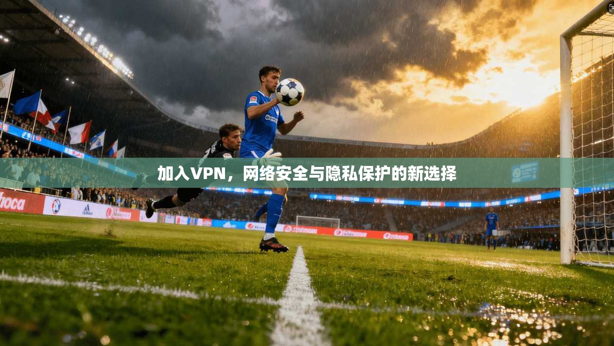 加入VPN，网络安全与隐私保护的新选择