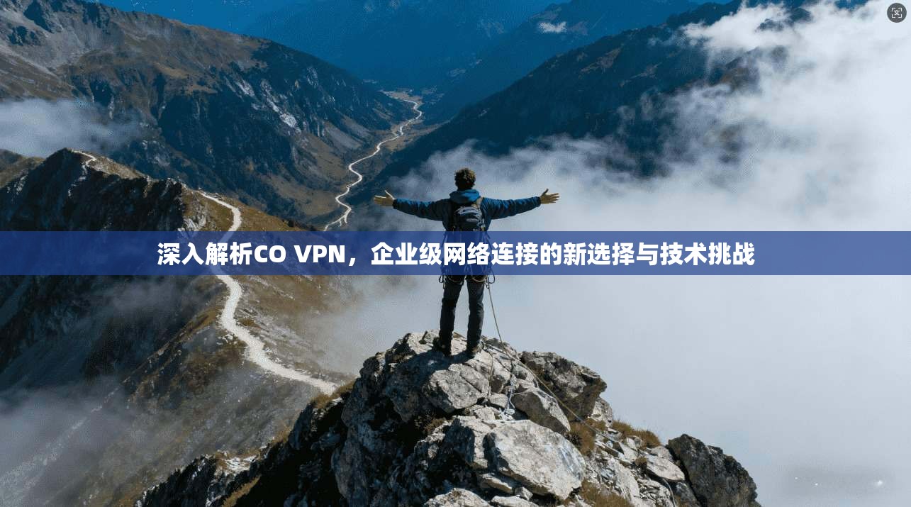 深入解析CO VPN，企业级网络连接的新选择与技术挑战