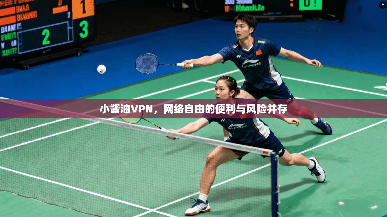 小酱油VPN，网络自由的便利与风险并存