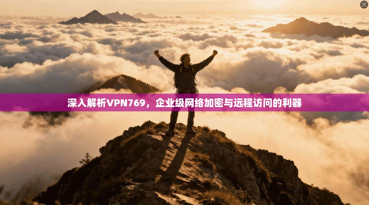 深入解析VPN769，企业级网络加密与远程访问的利器