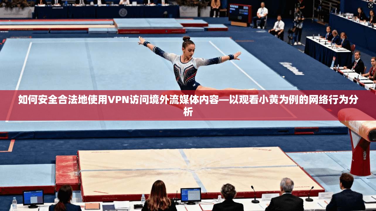 如何安全合法地使用VPN访问境外流媒体内容—以观看小黄为例的网络行为分析
