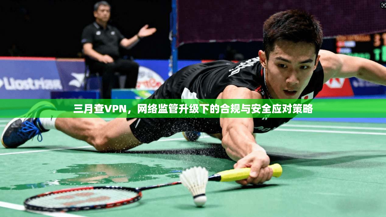三月查VPN，网络监管升级下的合规与安全应对策略