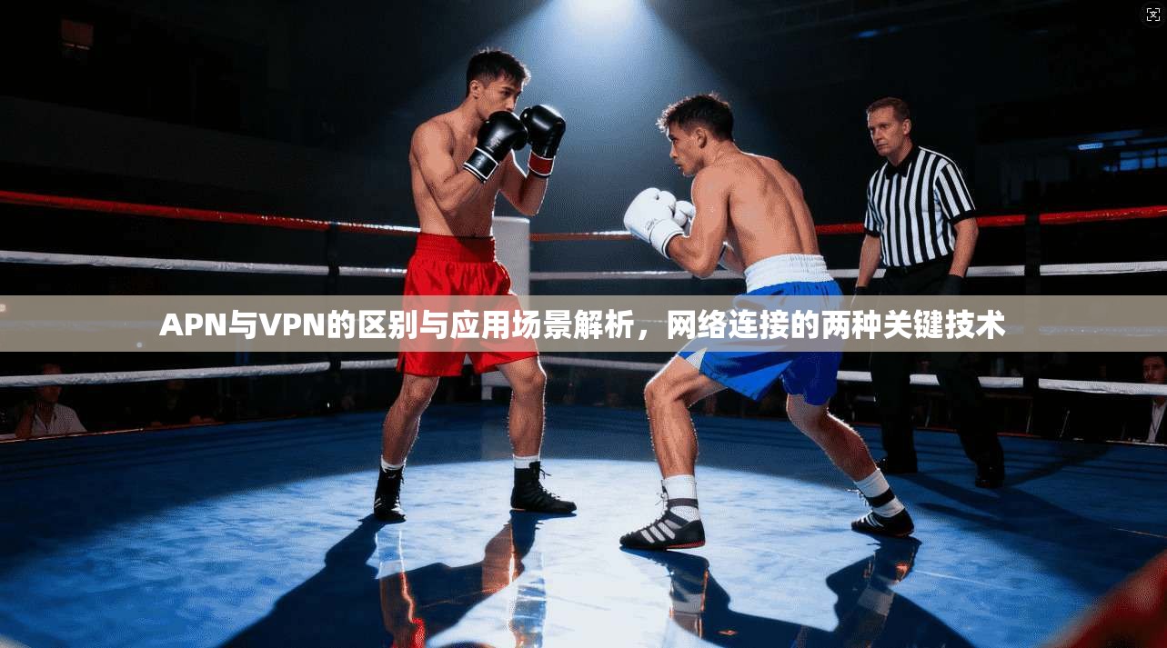 APN与VPN的区别与应用场景解析，网络连接的两种关键技术