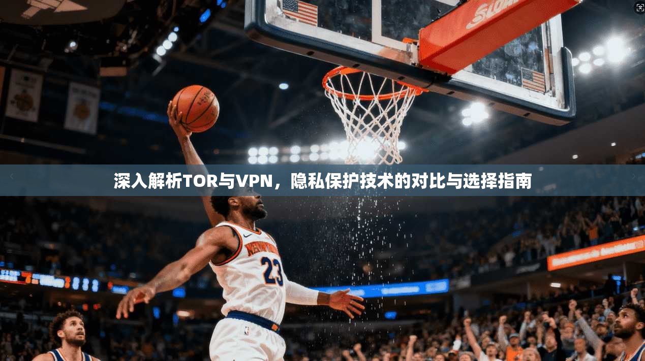 深入解析TOR与VPN，隐私保护技术的对比与选择指南