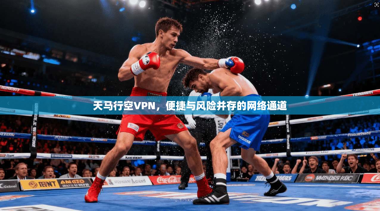 天马行空VPN，便捷与风险并存的网络通道
