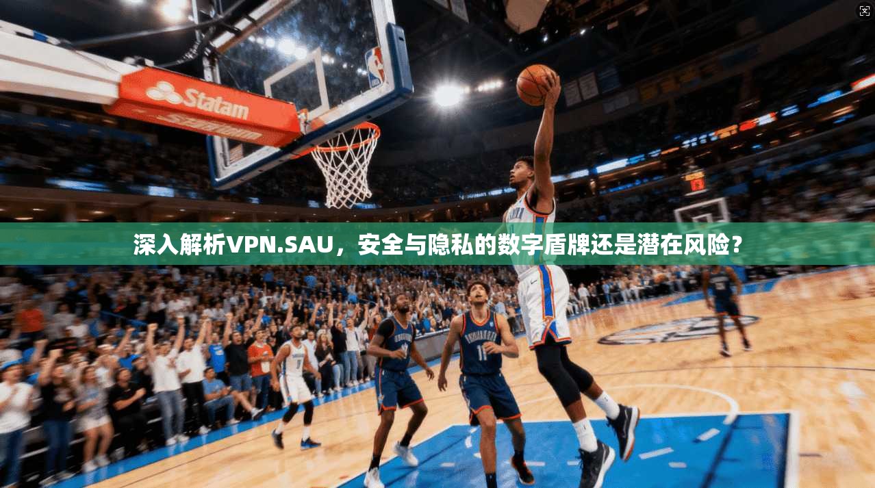 深入解析VPN.SAU，安全与隐私的数字盾牌还是潜在风险？
