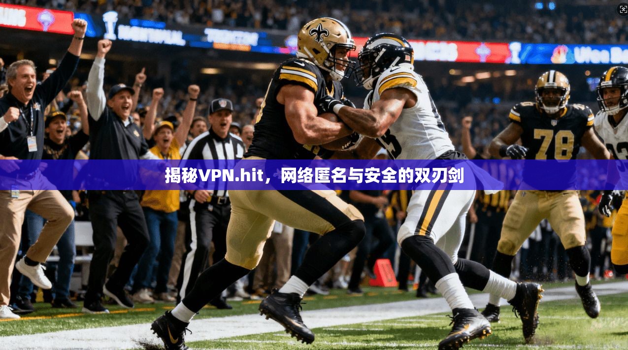 揭秘VPN.hit，网络匿名与安全的双刃剑