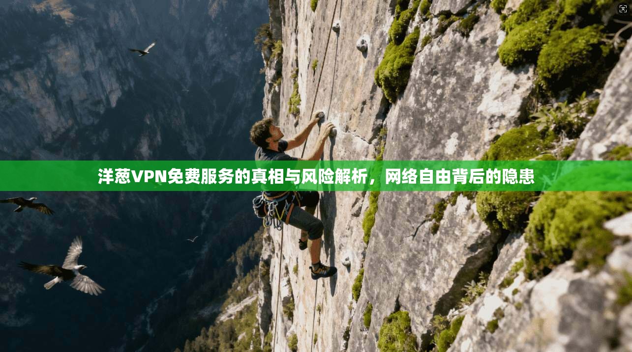 洋葱VPN免费服务的真相与风险解析，网络自由背后的隐患