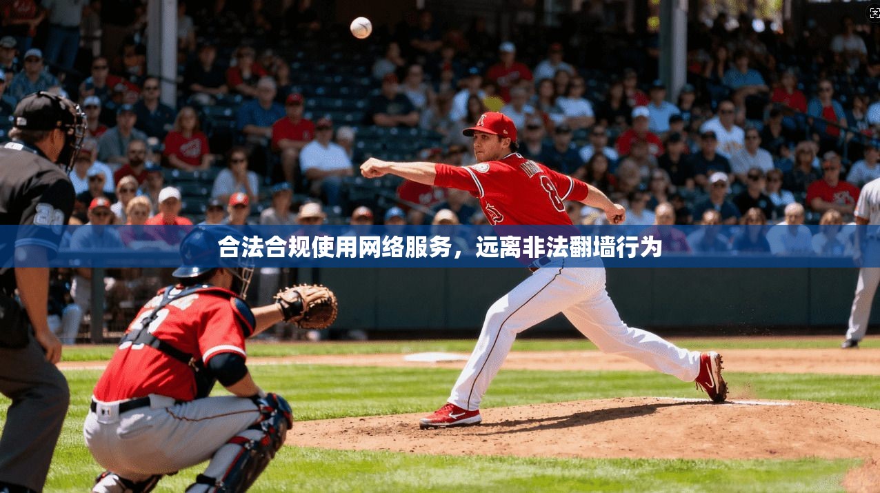 合法合规使用网络服务，远离非法翻墙行为