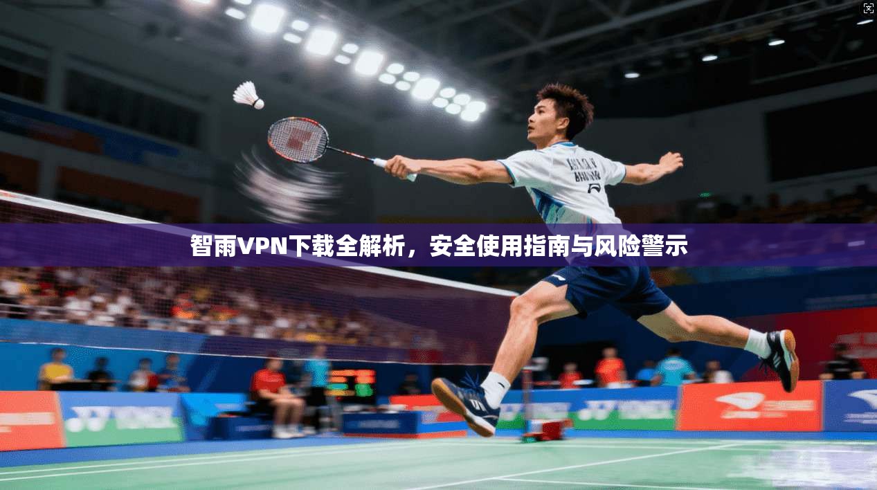 智雨VPN下载全解析，安全使用指南与风险警示