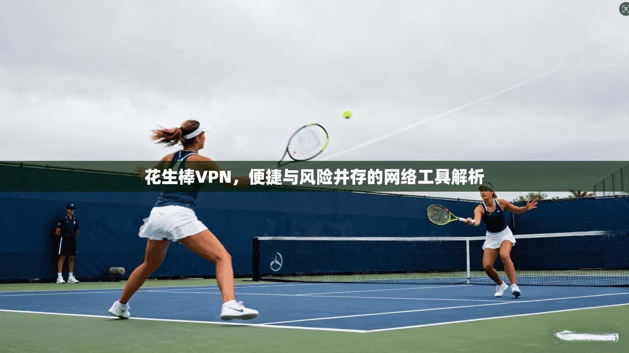 花生棒VPN，便捷与风险并存的网络工具解析