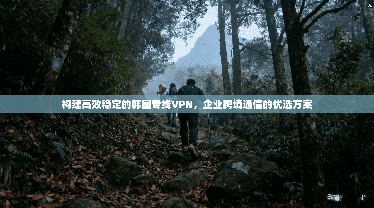 构建高效稳定的韩国专线VPN，企业跨境通信的优选方案