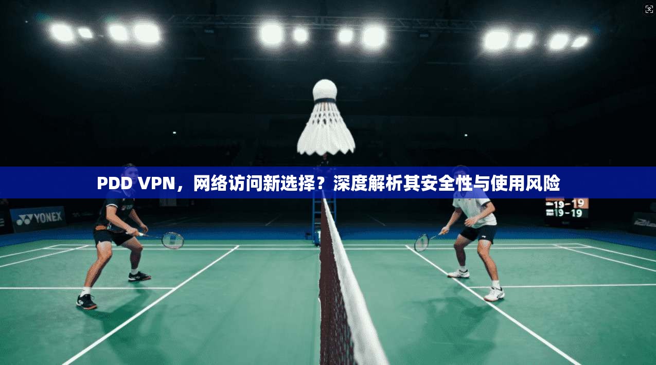 PDD VPN，网络访问新选择？深度解析其安全性与使用风险