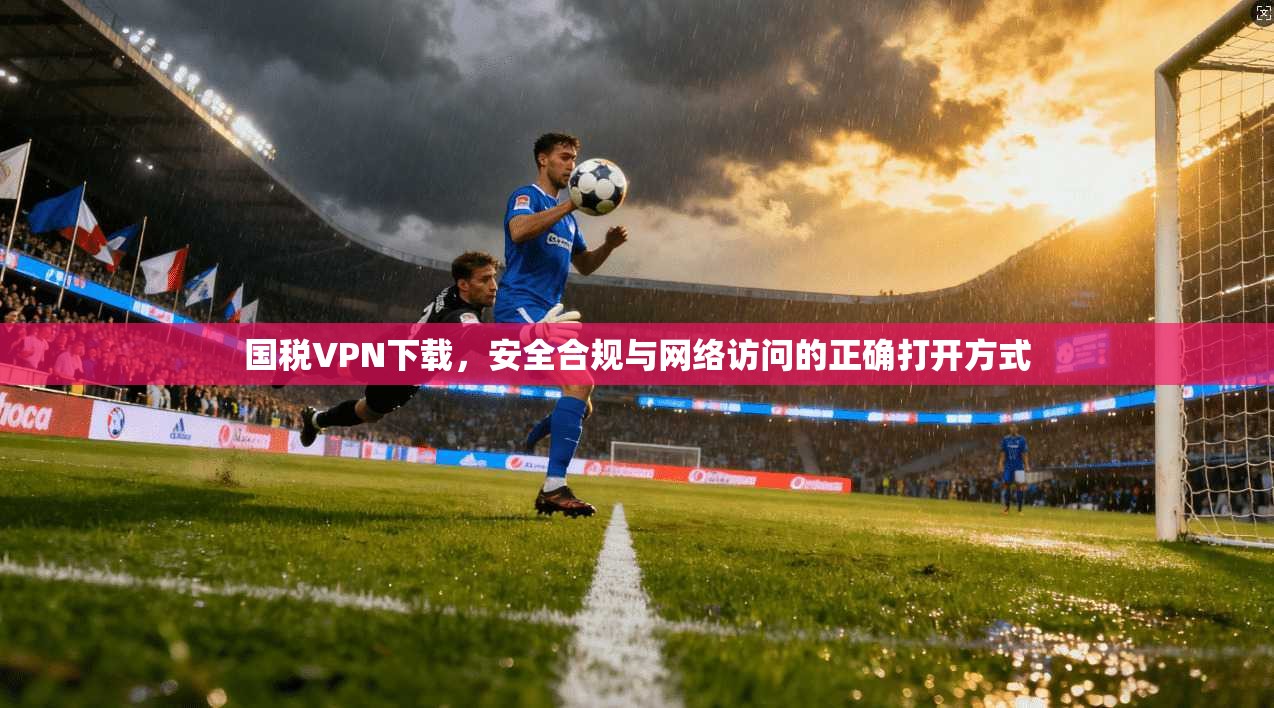 国税VPN下载，安全合规与网络访问的正确打开方式