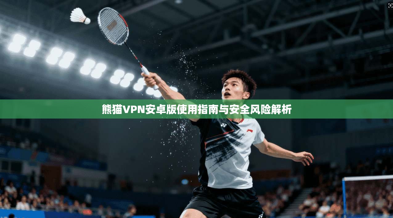 熊猫VPN安卓版使用指南与安全风险解析