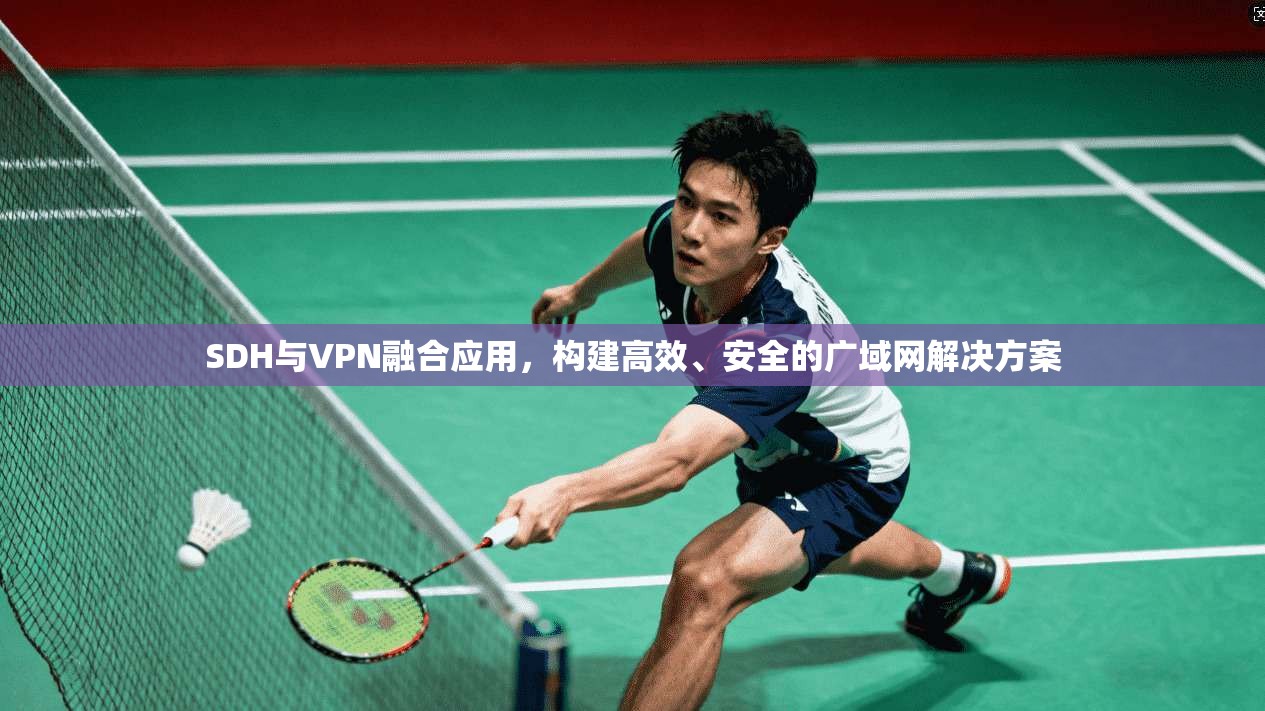 SDH与VPN融合应用，构建高效、安全的广域网解决方案