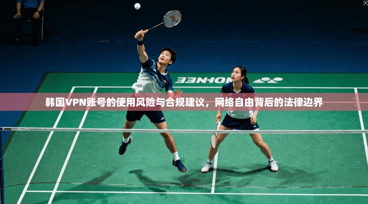 韩国VPN账号的使用风险与合规建议，网络自由背后的法律边界