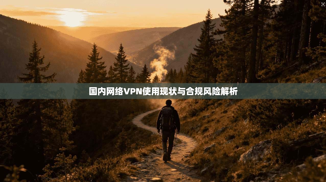 国内网络VPN使用现状与合规风险解析