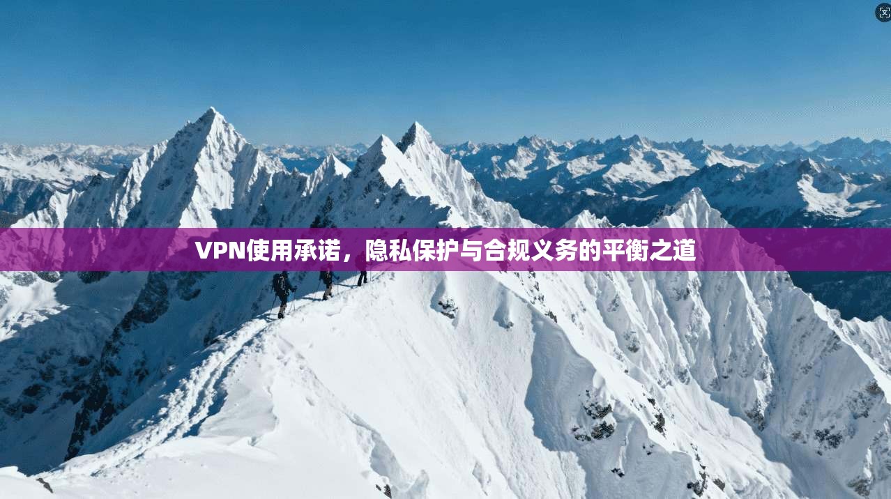 VPN使用承诺，隐私保护与合规义务的平衡之道