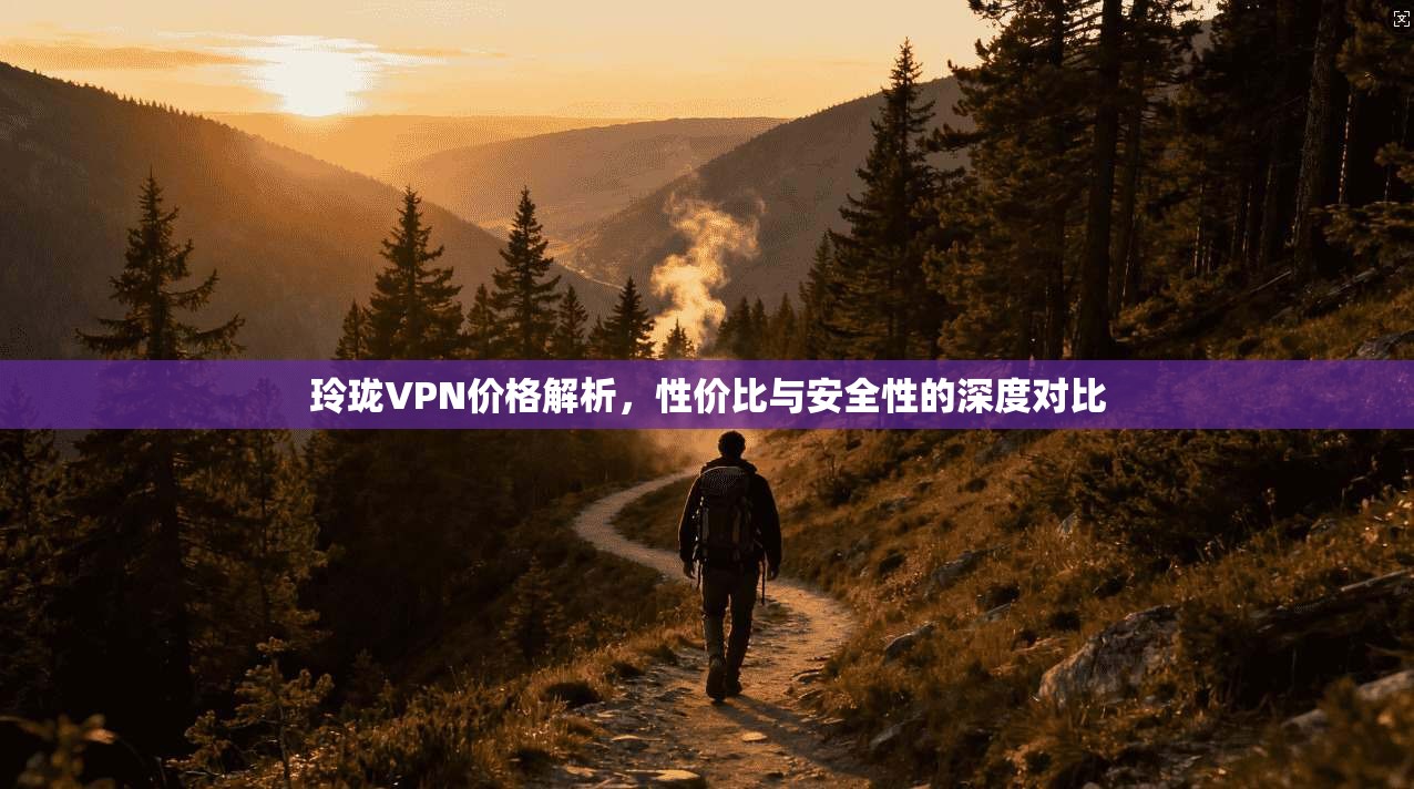 玲珑VPN价格解析,性价比与安全性的深度对比 玲珑VPN价格解析,性价比与安全性的深度对比