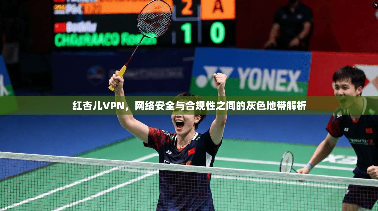 红杏儿VPN，网络安全与合规性之间的灰色地带解析