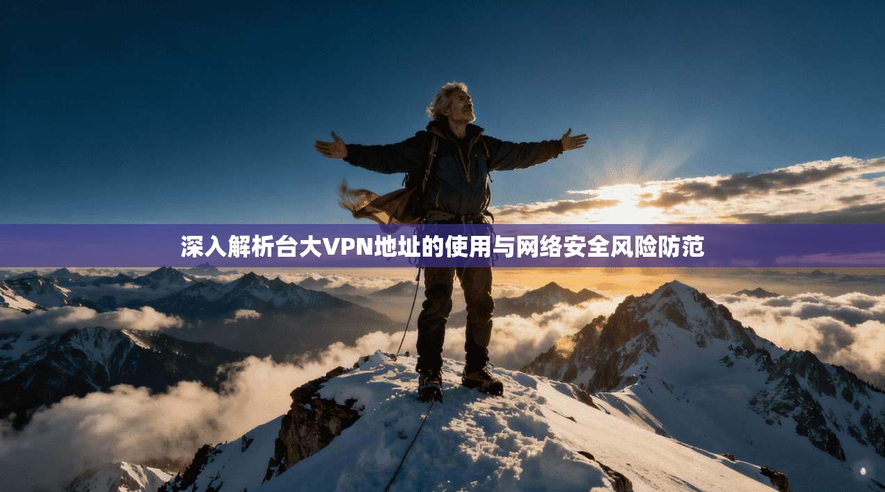 深入解析台大VPN地址的使用与网络安全风险防范