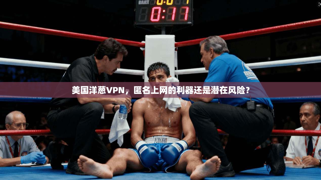 美国洋葱VPN，匿名上网的利器还是潜在风险？